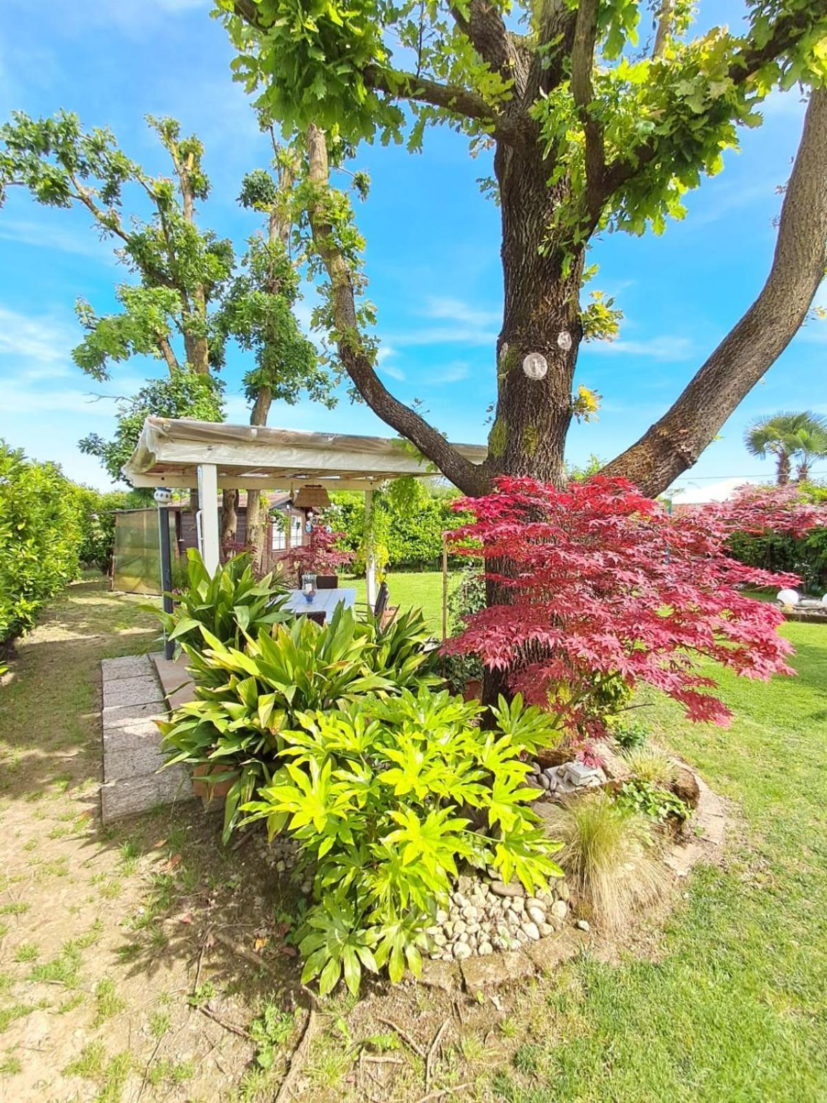 Villa Sabry Turriaco Eksteriør bilde